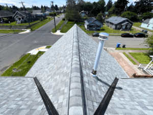 roof cleaning Arlington WA